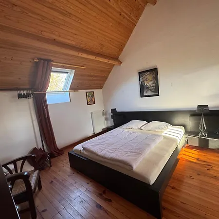 Villa Chevaux D'asie 22pers Jacuzzi Billard Babyfoot *