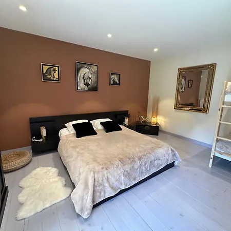 Chevaux D'asie 22pers Jacuzzi Billard Babyfoot Ferienhaus Notre-Dame-de-Cenilly