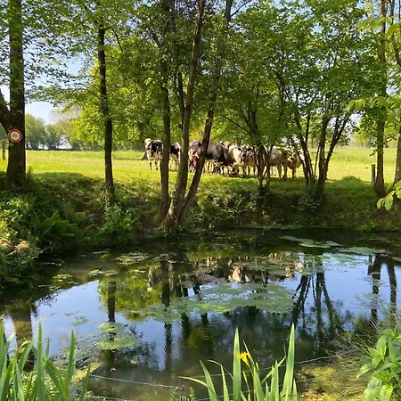 Semesterbostad La Clef Decamp Chevaux D'asie 22pers Jacuzzi Billard Babyfoot