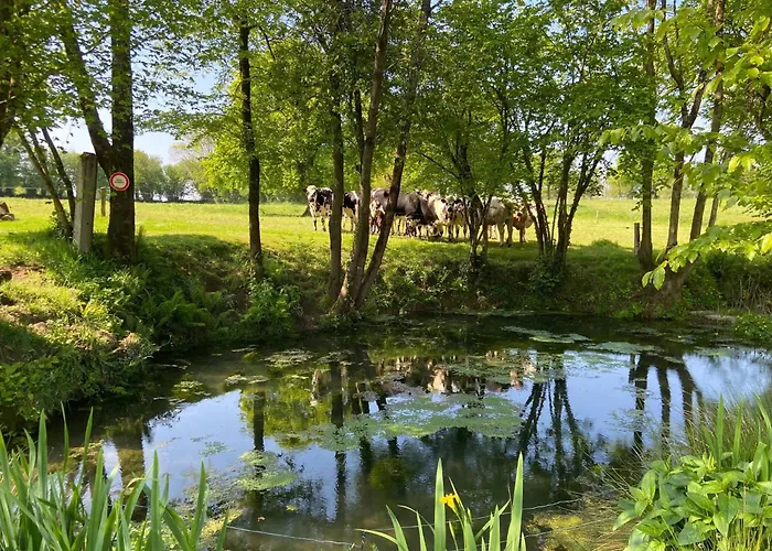 Semesterbostad La Clef Decamp Chevaux D'asie 22pers Jacuzzi Billard Babyfoot